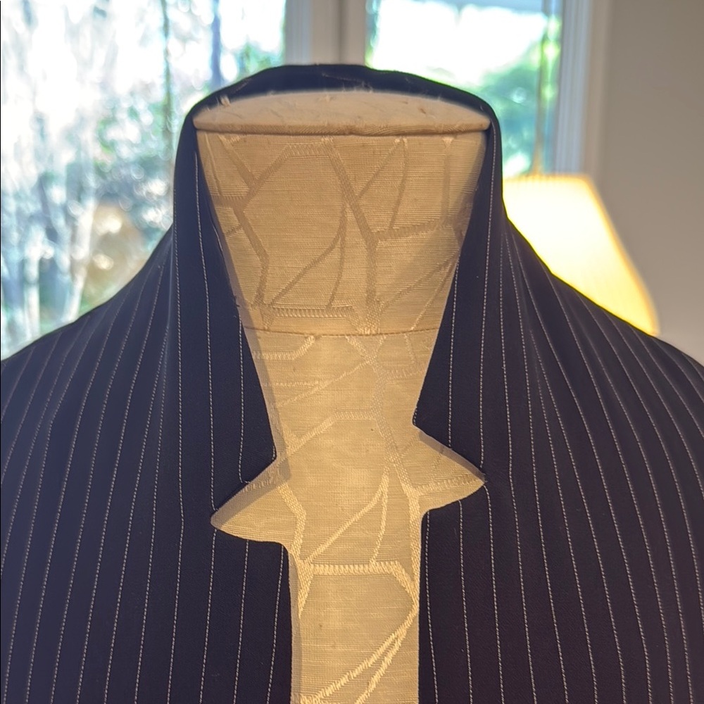 ELM Pinstriped Black Dress with Mandarin Collar and Bishop Sleeves - Picture 3 of 11